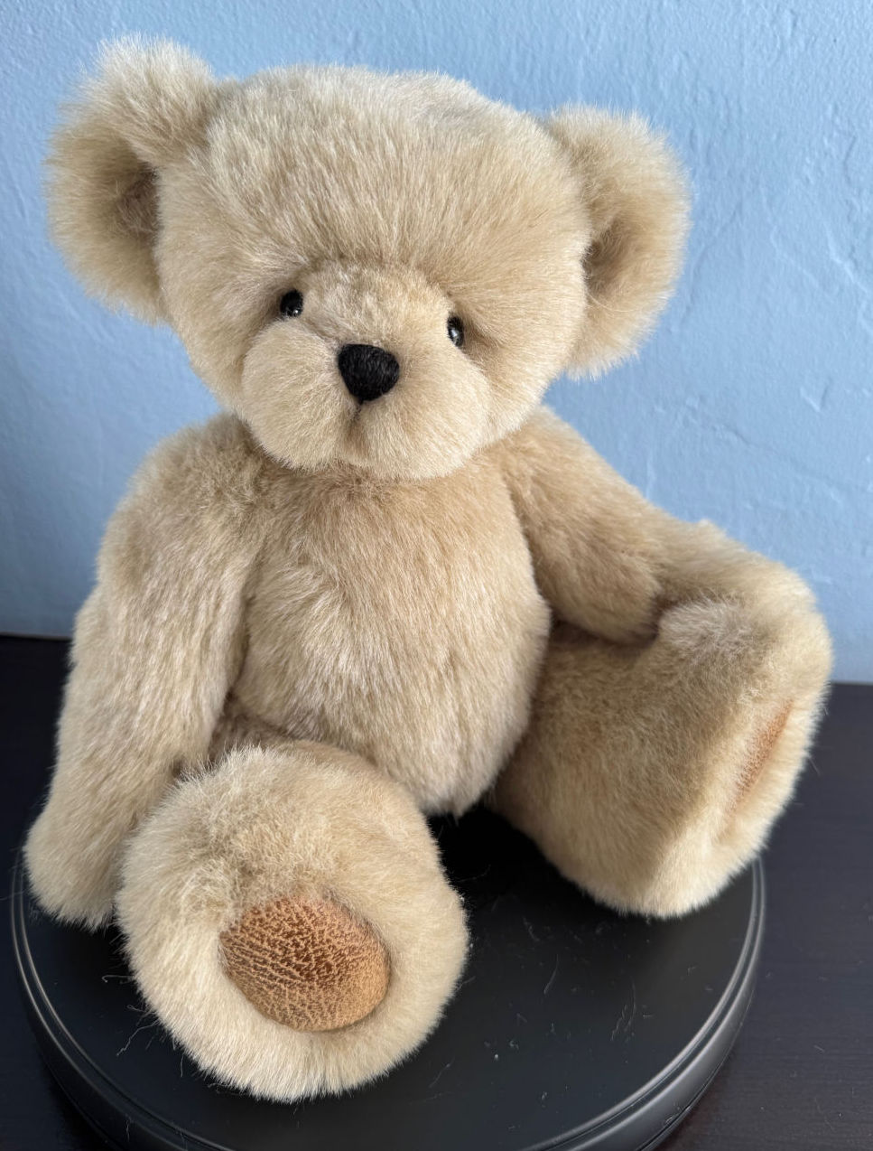 Cashmere-12-inch-teddy-bear1.jpg